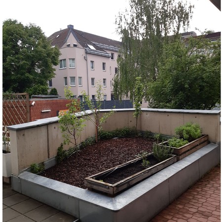 Auf dem Bild ist ein leeres Beet zu sehen, dass bepflanzt werden soll!