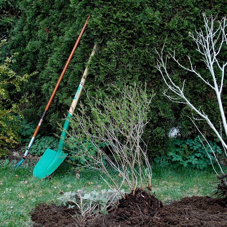 https://pixabay.com/de/photos/gartenarbeit-gartengestaltung-331668/